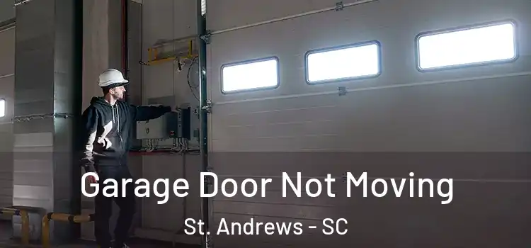  Garage Door Not Moving St. Andrews - SC