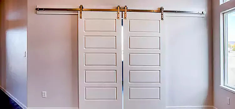 Glass Barn Door with Installation Hardware Kit St. Andrews