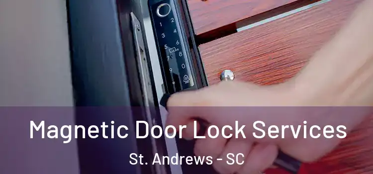  Magnetic Door Lock Services St. Andrews - SC